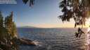 ./images/koeye/fitz-hugh/20250610/fitz-hugh20250610_204508M.jpg