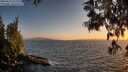 ./images/koeye/fitz-hugh/20250610/fitz-hugh20250610_211509M.jpg