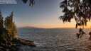 ./images/koeye/fitz-hugh/20250610/fitz-hugh20250610_212010M.jpg