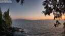 ./images/koeye/fitz-hugh/20250610/fitz-hugh20250610_214009M.jpg