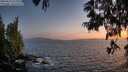 ./images/koeye/fitz-hugh/20250610/fitz-hugh20250610_221009M.jpg