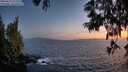 ./images/koeye/fitz-hugh/20250610/fitz-hugh20250610_221509M.jpg