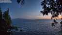 ./images/koeye/fitz-hugh/20250610/fitz-hugh20250610_223509M.jpg