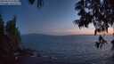 ./images/koeye/fitz-hugh/20250610/fitz-hugh20250610_224009M.jpg