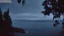 ./images/koeye/fitz-hugh/20250611/fitz-hugh20250611_043009M.jpg