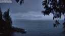 ./images/koeye/fitz-hugh/20250611/fitz-hugh20250611_044009M.jpg