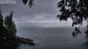 ./images/koeye/fitz-hugh/20250611/fitz-hugh20250611_045010M.jpg