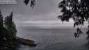 ./images/koeye/fitz-hugh/20250611/fitz-hugh20250611_050009M.jpg