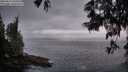 ./images/koeye/fitz-hugh/20250611/fitz-hugh20250611_050508M.jpg