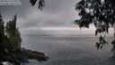 ./images/koeye/fitz-hugh/20250611/fitz-hugh20250611_051010M.jpg