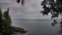 ./images/koeye/fitz-hugh/20250611/fitz-hugh20250611_053509M.jpg