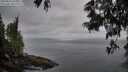 ./images/koeye/fitz-hugh/20250611/fitz-hugh20250611_054009M.jpg
