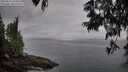 ./images/koeye/fitz-hugh/20250611/fitz-hugh20250611_054509M.jpg