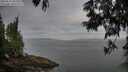 ./images/koeye/fitz-hugh/20250611/fitz-hugh20250611_061011M.jpg