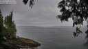 ./images/koeye/fitz-hugh/20250611/fitz-hugh20250611_063510M.jpg