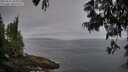 ./images/koeye/fitz-hugh/20250611/fitz-hugh20250611_065008M.jpg