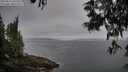 ./images/koeye/fitz-hugh/20250611/fitz-hugh20250611_065510M.jpg