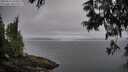 ./images/koeye/fitz-hugh/20250611/fitz-hugh20250611_070510M.jpg