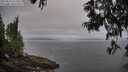 ./images/koeye/fitz-hugh/20250611/fitz-hugh20250611_071011M.jpg
