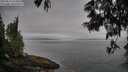 ./images/koeye/fitz-hugh/20250611/fitz-hugh20250611_073012M.jpg