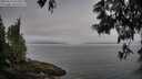 ./images/koeye/fitz-hugh/20250611/fitz-hugh20250611_073510M.jpg