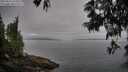 ./images/koeye/fitz-hugh/20250611/fitz-hugh20250611_074510M.jpg