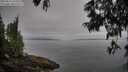 ./images/koeye/fitz-hugh/20250611/fitz-hugh20250611_075011M.jpg