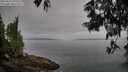./images/koeye/fitz-hugh/20250611/fitz-hugh20250611_075511M.jpg