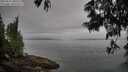 ./images/koeye/fitz-hugh/20250611/fitz-hugh20250611_080509M.jpg
