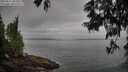 ./images/koeye/fitz-hugh/20250611/fitz-hugh20250611_082011M.jpg