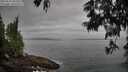 ./images/koeye/fitz-hugh/20250611/fitz-hugh20250611_082509M.jpg