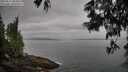 ./images/koeye/fitz-hugh/20250611/fitz-hugh20250611_083012M.jpg