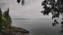 ./images/koeye/fitz-hugh/20250611/fitz-hugh20250611_085510M.jpg