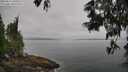 ./images/koeye/fitz-hugh/20250611/fitz-hugh20250611_090011M.jpg