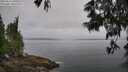 ./images/koeye/fitz-hugh/20250611/fitz-hugh20250611_090511M.jpg