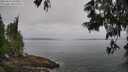 ./images/koeye/fitz-hugh/20250611/fitz-hugh20250611_091011M.jpg