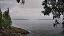 ./images/koeye/fitz-hugh/20250611/fitz-hugh20250611_091511M.jpg
