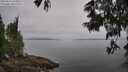 ./images/koeye/fitz-hugh/20250611/fitz-hugh20250611_094010M.jpg