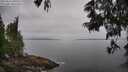 ./images/koeye/fitz-hugh/20250611/fitz-hugh20250611_095510M.jpg