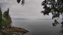 ./images/koeye/fitz-hugh/20250611/fitz-hugh20250611_100012M.jpg
