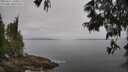 ./images/koeye/fitz-hugh/20250611/fitz-hugh20250611_100510M.jpg