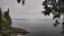 ./images/koeye/fitz-hugh/20250611/fitz-hugh20250611_101510M.jpg