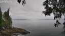 ./images/koeye/fitz-hugh/20250611/fitz-hugh20250611_103010M.jpg