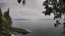 ./images/koeye/fitz-hugh/20250611/fitz-hugh20250611_103510M.jpg