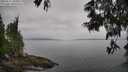 ./images/koeye/fitz-hugh/20250611/fitz-hugh20250611_104010M.jpg