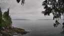 ./images/koeye/fitz-hugh/20250611/fitz-hugh20250611_104511M.jpg