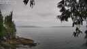 ./images/koeye/fitz-hugh/20250611/fitz-hugh20250611_105011M.jpg