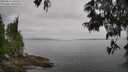 ./images/koeye/fitz-hugh/20250611/fitz-hugh20250611_105510M.jpg