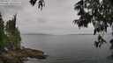 ./images/koeye/fitz-hugh/20250611/fitz-hugh20250611_110510M.jpg
