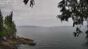 ./images/koeye/fitz-hugh/20250611/fitz-hugh20250611_112509M.jpg